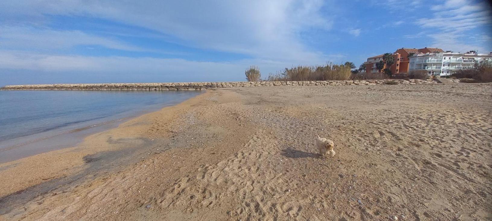 Beach View - Primera Linea Lujo Дения Екстериор снимка